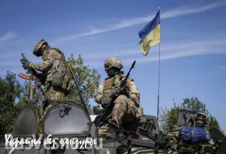 Киевский режим бросил вызов Евросоюзу