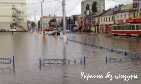 Ливень затопил улицы Москвы, а Курск превратил в Венецию