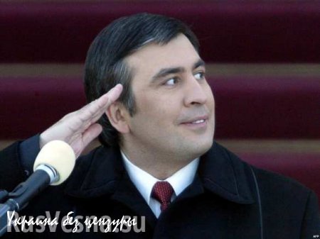 Ещё один кормилец: Саакашвили заявил о возможности «сказочных земледельцев» Украины накормить Европу