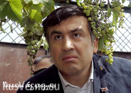 Саакашвили пообещал не приводить в Одессу инопланетян