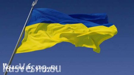 Украинскую таможню могут "сдать" в управление иностранной компании
