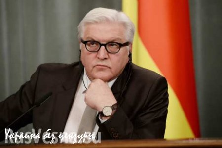 Украинские СМИ исказили речь министра иностранных дел ФРГ Франка-Вальтера Штайнмайера