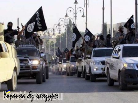 Зверства ИГИЛ привели в ужас даже «Аль-Каиду»