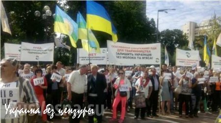 Под Верховной Радой проходит акция протеста сельхозпроизводителей (ФОТО)