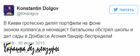 Константин Долгов о ситуации в правительстве Украины: Это агония бандеровского беспредела