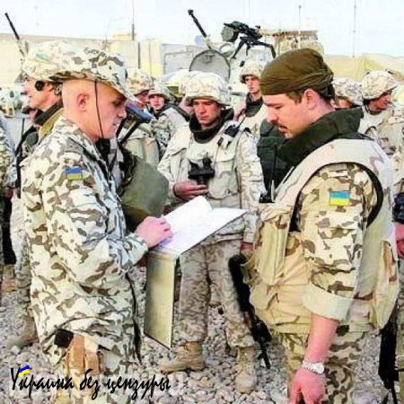 Украинская армия в Ираке или об истинной природе украинского лыцарства, — из записок украинского «миротворца»