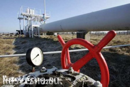 Новак: Украина не получит скидку на газ больше, чем $40