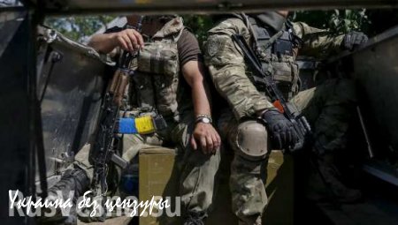 Daily Mail: зверинец по-украински — пьяных солдат держат в клетке
