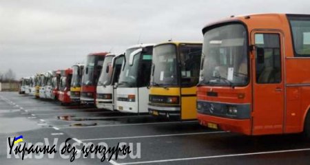 ДНР и Россию связали три новых автобусных маршрута