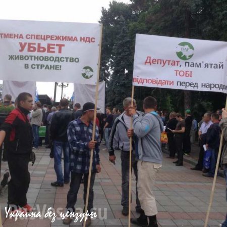 Верховную раду атакуют колхозники со свиньями (ФОТО)