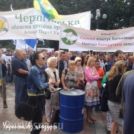 Верховную раду атакуют колхозники со свиньями (ФОТО)