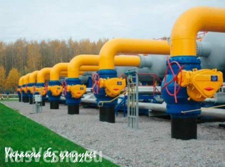 Госдума: Киеву нечем платить за газ