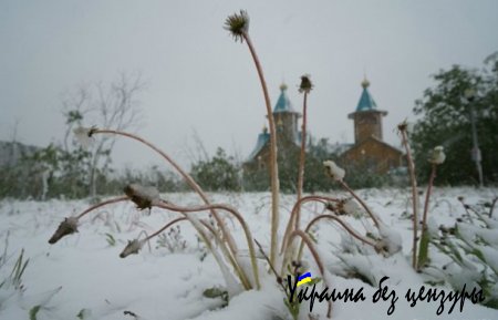 Уфу к саммиту обклеили фотообоями, а Воркуту засыпал снег: фото дня