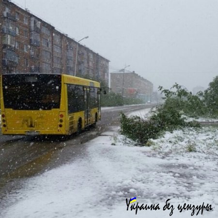 Уфу к саммиту обклеили фотообоями, а Воркуту засыпал снег: фото дня