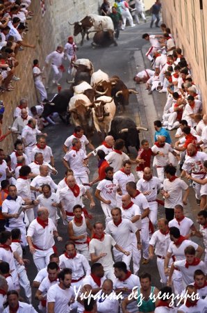 Забеги быков, реки вина. В Испании начался легендарный фестиваль Сан-Фермин