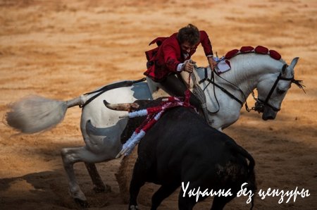 Забеги быков, реки вина. Легендарный фестиваль Сан-Фермин в Испании