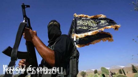 Кровавый пиар ИГИЛ приносит террористам новых сторонников в арабском мире