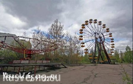 Украинские спасатели не могут справиться с торфяным пожаром под Чернобылем