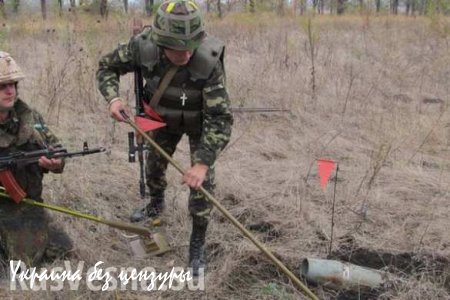 Саперы МЧС ДНР за сутки выявили более 70 взрывоопасных предметов