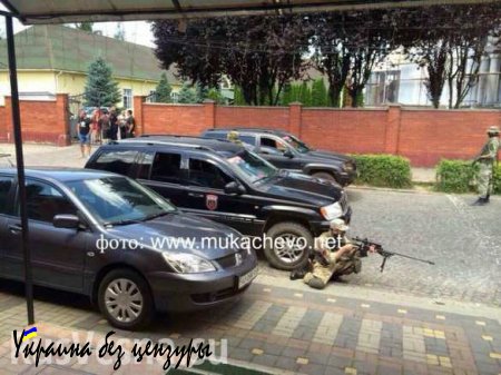 Как начались кровавые столкновения в Мукачево (ВИДЕО)