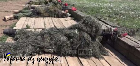 Снайперы и гранатометчики «Казачьего» полка ЛНР на учениях (ВИДЕО)