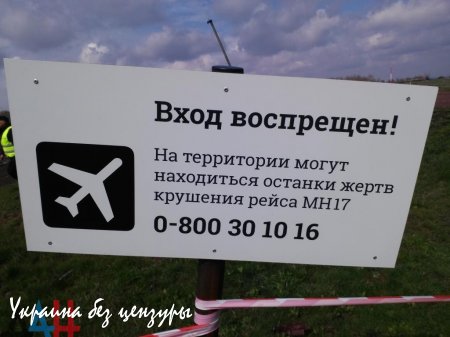 Следователи по делу о гибели «Боинга» рассматривали только версию попадания «Бука», — Грэм Филлипс