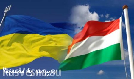 Венгрия усилила охрану границы с Закарпатской областью и уменьшила пропуск украинцев