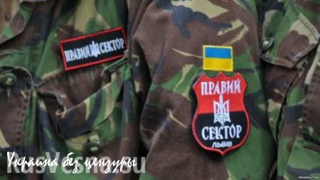 Бойцы «Правого сектора» покидают посты на Донбассе и движутся в сторону Киева, — Басурин
