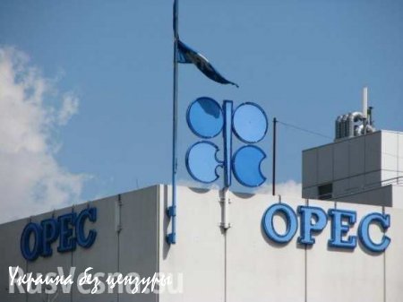 ОПЕК улучшила прогноз по ВВП России и добыче нефти