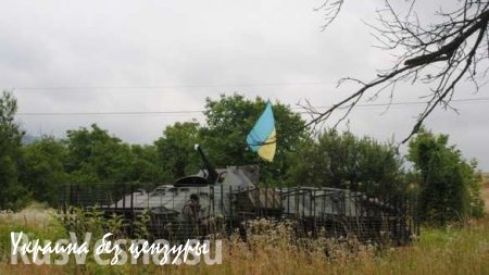 Мукачево: оперативная обстановка и фото из окруженного силовиками села