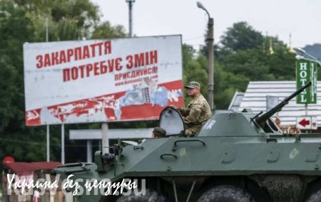СМИ: Спецназ окружил боевиков «Правого сектора» в селе под Мукачево