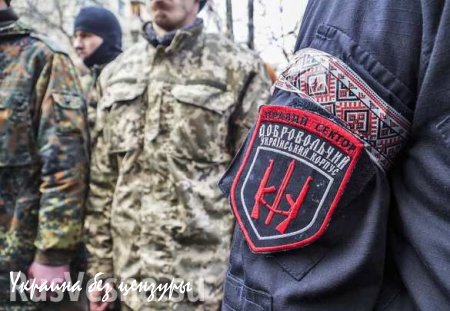 ЛНР: Боевики нацбатальонов и «Правый сектор» покинули позиции у линии разграничения, — Народная Милиция