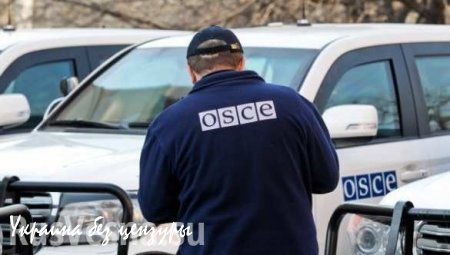 ОБСЕ планирует увеличить состав миссии на Донбассе до тысячи человек