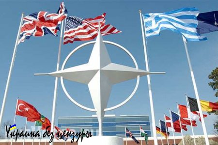 В НАТО готовятся к худшему сценарию развития событий на Донбассе