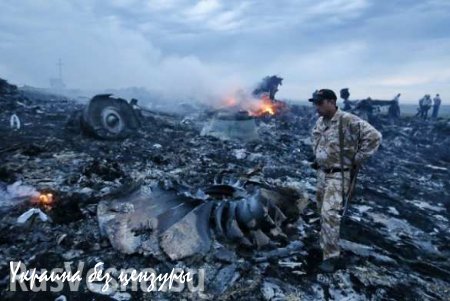 В силовых структурах Украины есть версия, что Boeing MH17 сбит в результате учений ПВО ВСУ