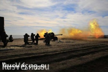 За неделю украинские силовики выпустили по территории ДНР почти 500 снарядов тяжелой артиллерии — Минобороны ДНР