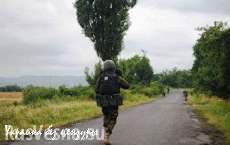 Окруженные боевики «Правого сектора» из Закарпатья перешли в Польшу