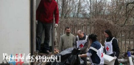 Комиссия по делам военнопленных ДНР обнаружила захоронение в районе Амвросиевки