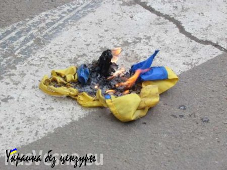 В Славянском районе местный житель прилюдно сжег флаг Украины