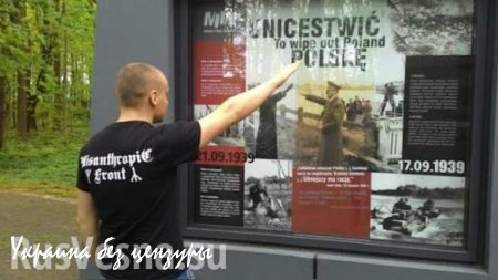 Украинские «беженцы» не прочь уничтожить Польшу по заветам Гитлера