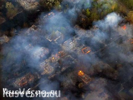 Пожары в Чернобыльской зоне возникают из-за умышленных поджогов, — глава ГСЧС Украины