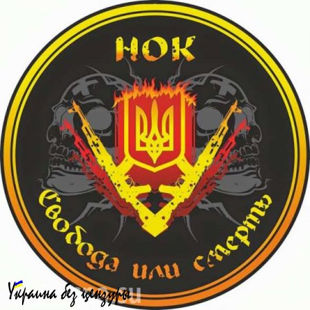 «Свобода или смерть!» — комбат «Киев-1» создает «национально-освободительный корпус» для наведения порядка на Украине