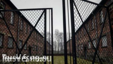 Минобороны РФ рассекретило документы по Освенциму и материалы информационного противостояния СССР и Германии