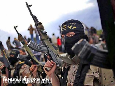 Юные мошенницы из Чечни опустошали счета вербовщиков ИГИЛ (ВИДЕО)
