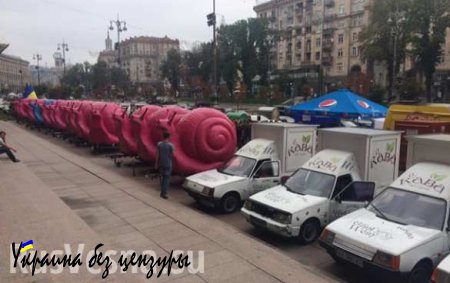 Киевскую мэрию атакуют розовые улитки (ФОТО)