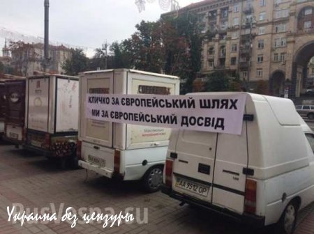 Киевскую мэрию атакуют розовые улитки (ФОТО)