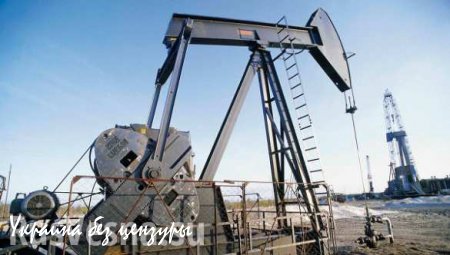 РФ и ОПЕК: ситуация на рынке нефти стабилизируется к 2016 году