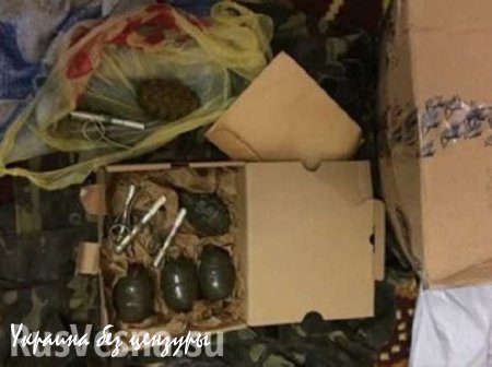 Украинский военный выслал племяннице посылку с гранатами из зоны «АТО»