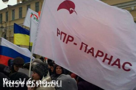 Обманутые сборщики подписей «ПАРНАСа» собираются митинговать у новосибирского штаба «Демкоалиции»