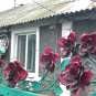 «Стальной Донбасс» и розы из снарядов: донецкий кузнец готовится к выставке в Москве (ФОТО+ВИДЕО)